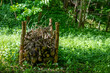 Benjeshecke aus Schnittgut von Gehölzen als natürlicher Unterschlupf auf einer Waldlichtung aufgebaut 