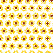 Abstract Sunflower Seamless Pattern With Clear Background Yellow Wallpaper Vector Illustration  