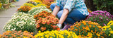 Young woman florist working with chrysanthemums flowers in flower shop in summer