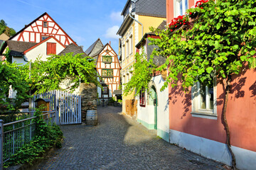 Wall Mural - Cozy leafy medieval street with half timbered houses, Rhine region, Germany