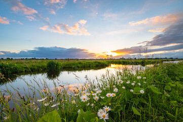 the sun sets over the dutch polder landscape near gouda, holland