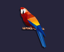 Polygonal Parrot, Low Poly Parrot, Geometric Vector Illustration, Isolated On White Background.