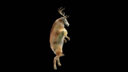Wall Mural - deer dancing cg fur 3d rendering animal realistic cgi vfx animation loop composition 3d mapping cart