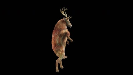 Wall Mural - deer dancing cg fur 3d rendering animal realistic cgi vfx animation loop composition 3d mapping cart