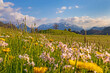 Allgäu - Frühling - Alpen - Panorama - Oberstdorf - malerisch - Blumen
