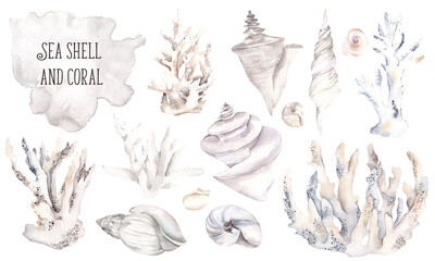 Watercolor illustration with sea shell and coral, pearl, isolated on white background, sea collection underwater  composition.