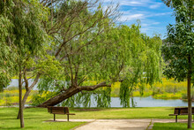 Two Benches By A Wetland Lake, Yanchep National Park Near Perth, Western Australia, Australia