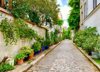 Wall Mural - Window with flowers on the beautiful green street of rue de Termopyles in Paris' 14 arrondissement