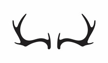 Deer Antlers Vector. Silhouette Of The Horns Of A Wild Elk, Roe Deer On A White Background.
