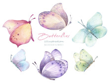 Watercolor Hand Drawn Set With Illustration Of Colorful Exotic Butterflies. Pink, Blue, Yellow, Green Elements Isolated On White Background. Spring And Summer Collection