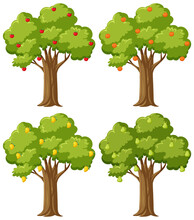Four Fruit Trees Set