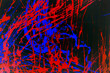 Red and blue color Splatter or splash by brush paint freestyle on black background ,abstract effect illustration                                                           