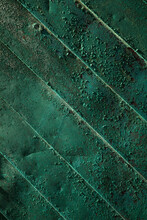 Close-up Of Old Green Weathered Door
