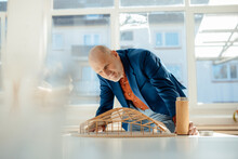 Senior Architect Holding Water Bottle Analyzing Leaf Shape Model On Desk