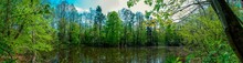 Panorama Of Forest Lakes In Spring, Young Leaves And Freshly Blossomed Buds Of Trees And Shrubs