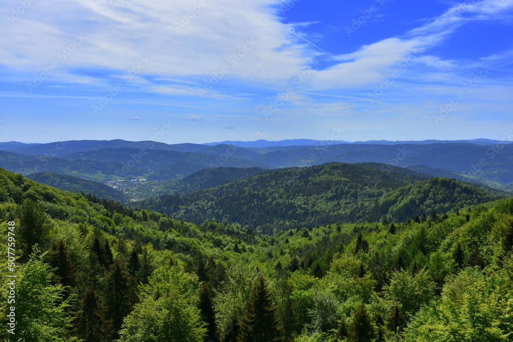 Beskid Sądecki w pasmie Jaworzyny Krynickiej, góry w Małopolsce