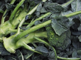 Tasty broccoli fresh from the market