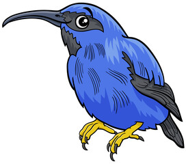 honeycreeper bird animal character cartoon illustration