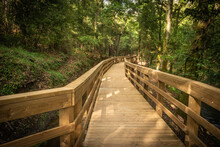 Wooden Footbridge In Stanislaus Fountain Park
