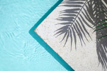 Swimming pool top view background. Water ring and palm shadow on travertine stone