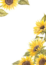 Sunflowers Watercolor Frame, Invitation Design