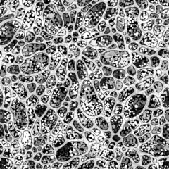 Wall Mural - Seamless pattern with abstract spots. Monochrome Neurography shapes texture