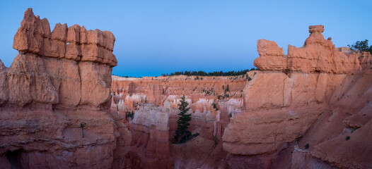 Wall Mural - bryce canyon national park, utah, usa