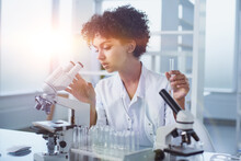 Female Scientist Working In The Lab