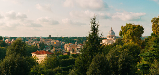 Wall Mural - Panoramic view of Rome