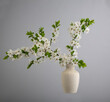 Prunus avium (sweet cherry or gean) in a scabrous ceramic vase on a gray background