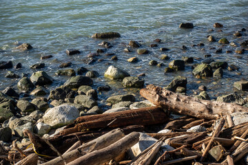 Rocky coastline of False Bay in San Juan Island, WA, refilling after low tide on a sunny day