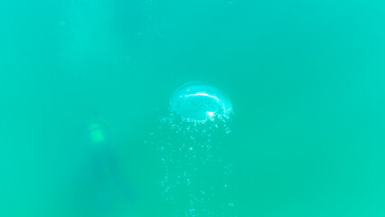 Wall Mural - An air bubble above a diver in a lake