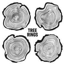 Round Tree Trunk Cuts, Sawn Pine Or Oak Slices, Lumber. Saw Cut Timber, Wood. Wooden Texture With Tree Rings. Hand Drawn Sketch. Vector Illustration