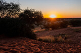 Fototapeta Perspektywa 3d - Beautiful sunset over the scenic kalahari-landscape in Namibia