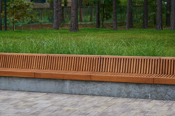 wooden seat in the park