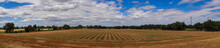 Panorama View Of Farmland In Sacramento Valley With Stripped Field With Hay Drying 