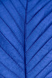 Macro detail of a blue leaf with clear texture.