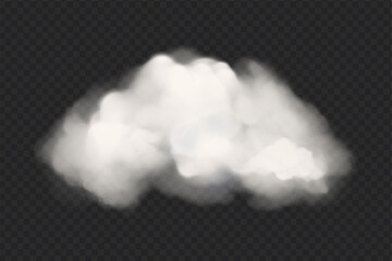 Wall Mural - Vector cloud of smoke or fog. Fog or cloud on an isolated transparent background. Smoke, fog, cloud png