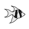angelfish icon design template vector illustration