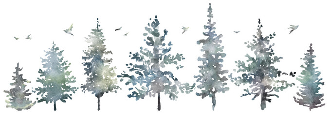 Watercolor hand drawn forest set with delicate illustration of coniferous trees spruce, fir, pine, foggy landscapes, silhouette of birds. Elements isolated on a white background. Woodland collection
