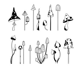 Wall Mural - mystical mushroom isolated clip art bundle, hand drawn poisonous amanita mushrooms or fly agaric fun