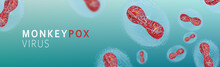 Monkey Pox Virus, Infectious Zoonotic Disease - Banner	
