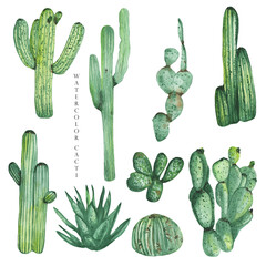 Wall Mural - A set of high quality hand painted watercolor elements for your design with succulent plants, cacti and more. Perfect for your project, wedding, greeting card, photos, blogs, wreaths, patterns and mor