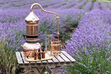 Wall Mural - Distillation of lavender essential oil and hydrolate. Copper alambic for the flowering field.