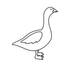 Wall Mural - Vector hand drawn flat goose duck isolated on white background