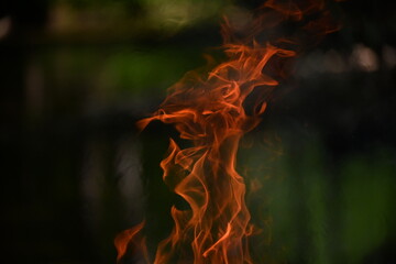 Fire burned by the stream in the forest