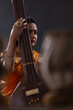 © IndiaPix - Close-up view of a female musician performing with Tanpura at concert