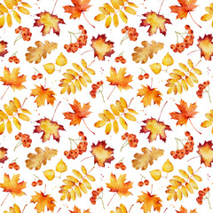 Wall Mural - watercolor seamless pattern with autumn leaves isolated on white background.