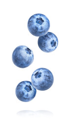 Wall Mural - Falling blueberry berries on white background