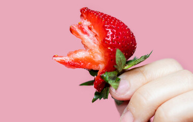 agriculture, berry, big, bite, bitten strawberry, cheerful, closeup, delicious, dessert, diet, eat, eco fruit, enjoy, enjoyment, female, food, fresh, freshness, fruit, garden, girl hand, green leaf, h